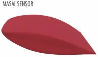 Masai Sensor