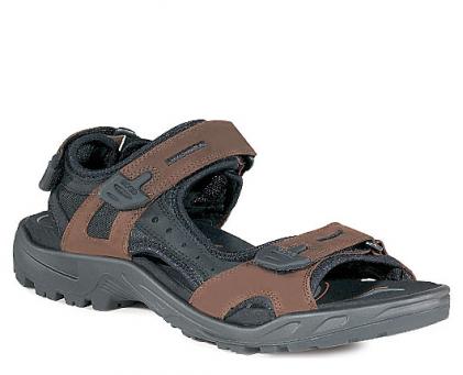 ecco 69564