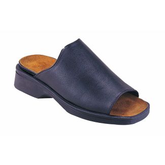 naot_blue03b.jpg