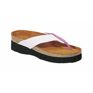 naot_sanibel03b.jpg