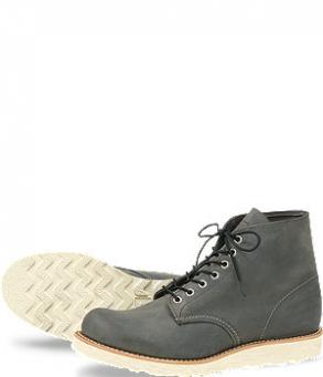 redwing_8152.jpg