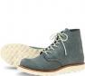 redwing_8144.jpg