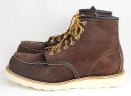 redwing_8878.jpg
