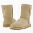 uggs_classic_short_sand.jpg
