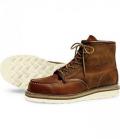 redwing_1097.jpg