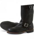 redwing_2990.jpg