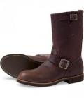 redwing_2991.jpg