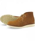 redwing_3145.jpg