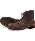 redwing_8111.jpg