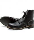 redwing_8114.jpg
