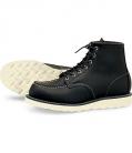 redwing_8130.jpg