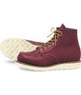redwing_8131.jpg
