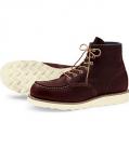 redwing_8138.jpg