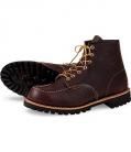 redwing_8146.jpg