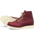 redwing_8166.jpg