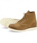 redwing_8181.jpg