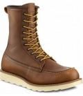 redwing_877.jpg
