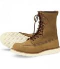 redwing_879.jpg