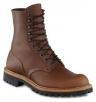 redwing_899.jpg