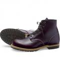 redwing_9011.jpg