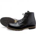 redwing_9014.jpg