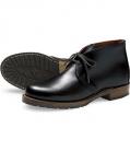 redwing_9024.jpg