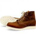 redwing_9111.jpg